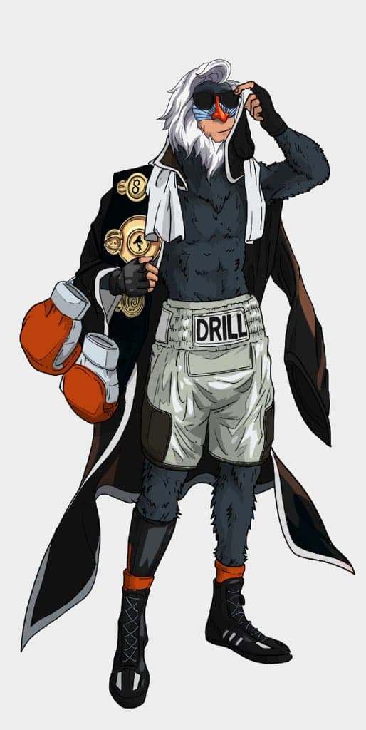 boxer