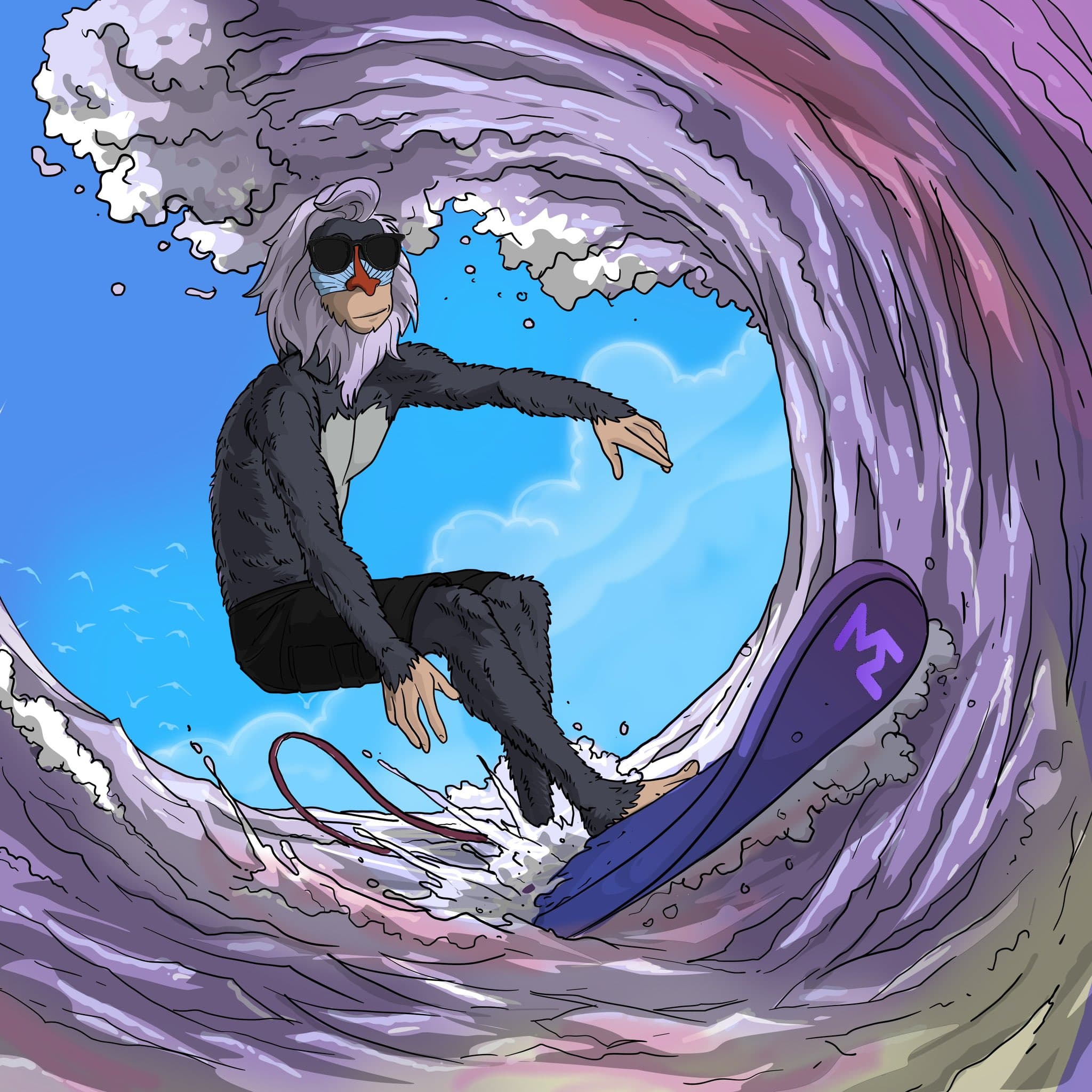 surf
